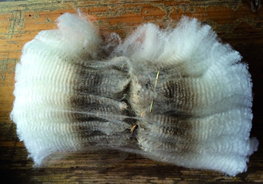 Fibre animale crimpée — échantillon Fibrelab